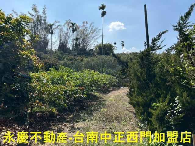 南化農地-3