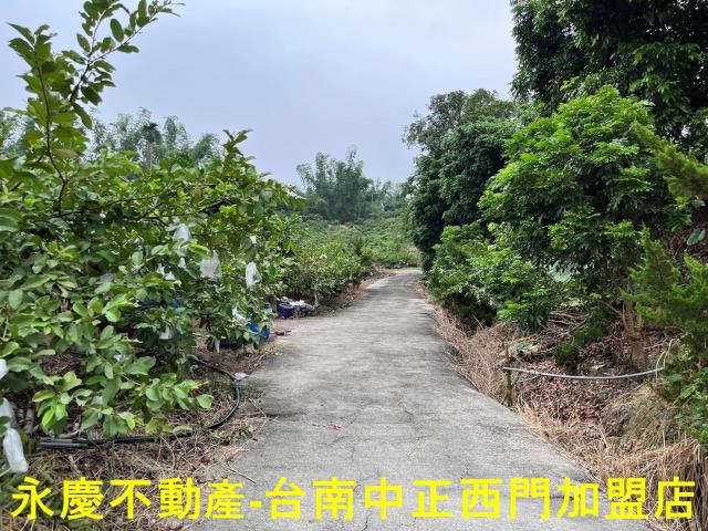 南化農地-4