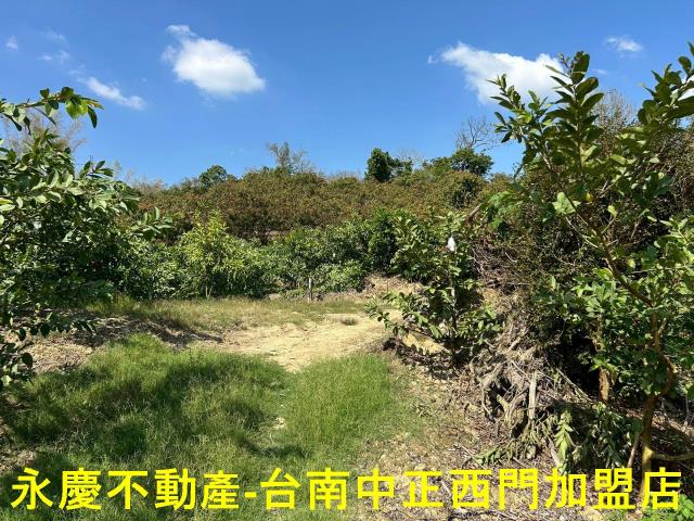 南化農地-5