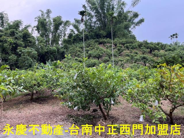 南化農地-6