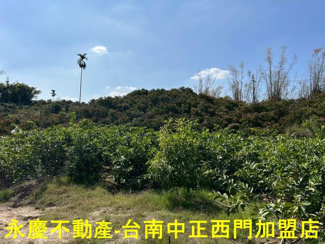 南化農地-6
