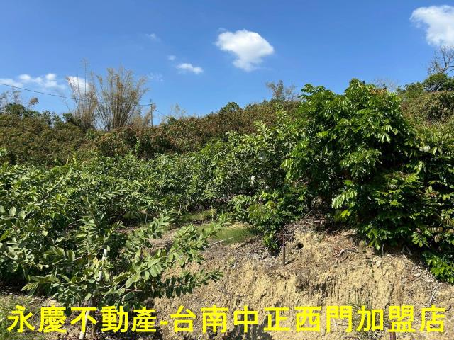 南化農地-7