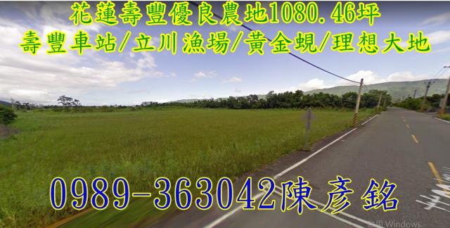 壽豐農地-1