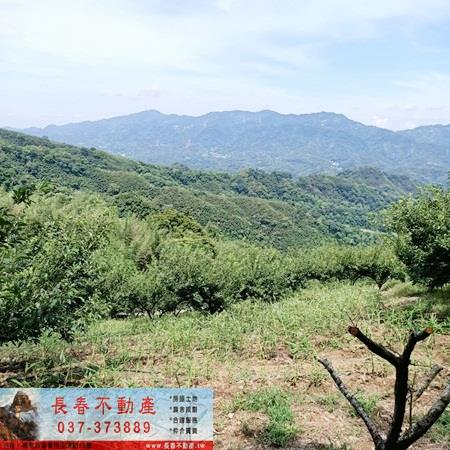 大湖農地-3