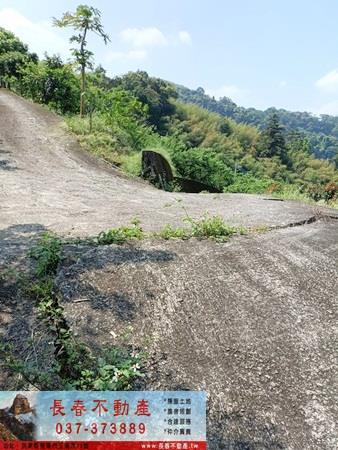 大湖農地-9