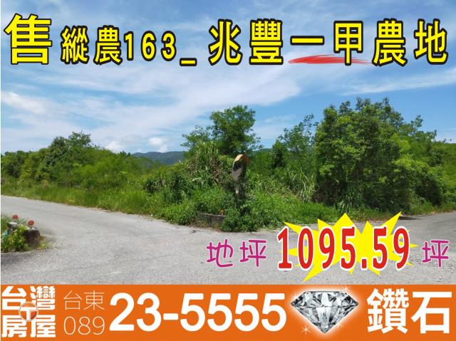 鳳林農地-0