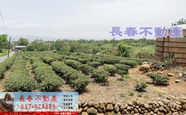 8L028聯大旁農牧用地一
