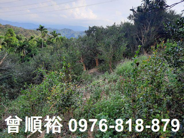新竹關西農地-9