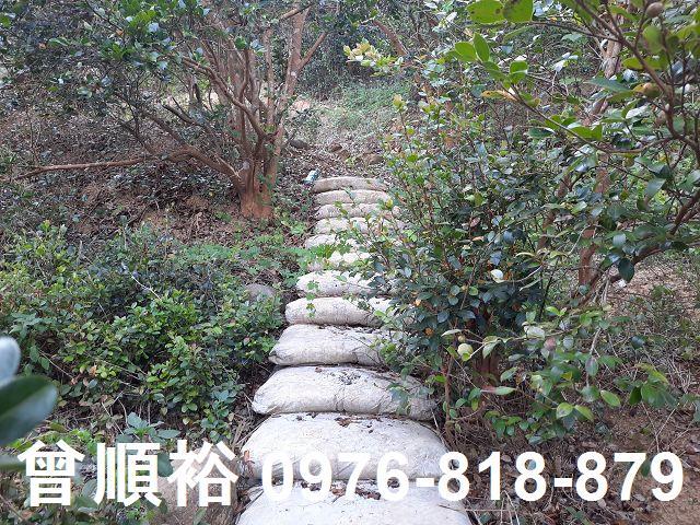 新竹關西農地-10