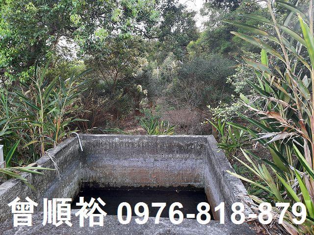 新竹關西農地-11