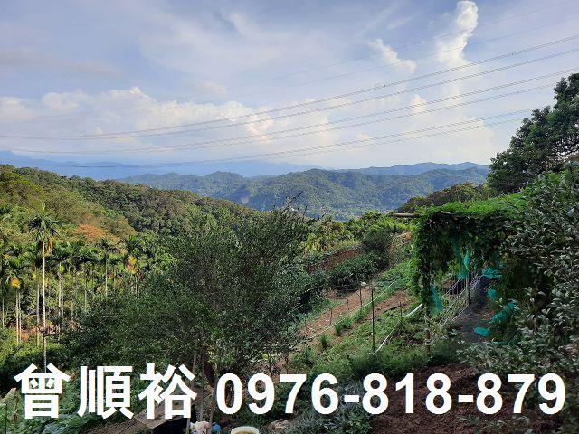 新竹關西農地-0
