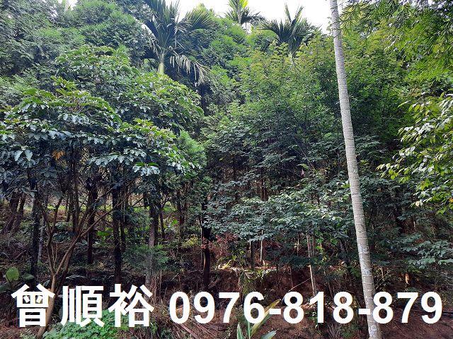 新竹關西農地-2