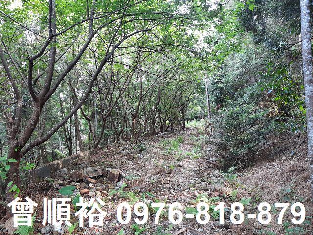 新竹關西農地-5