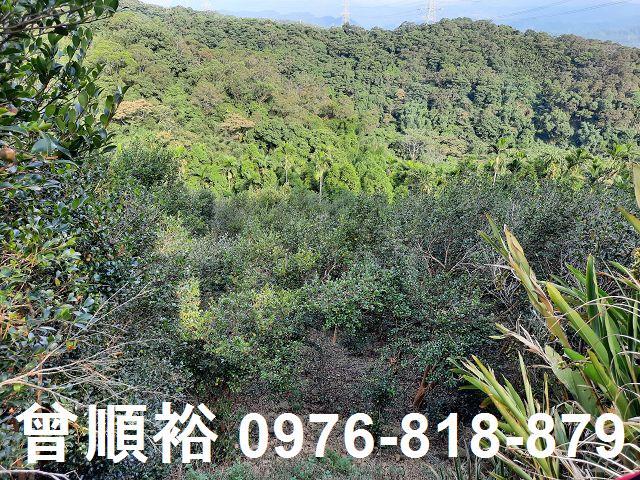 新竹關西農地-6