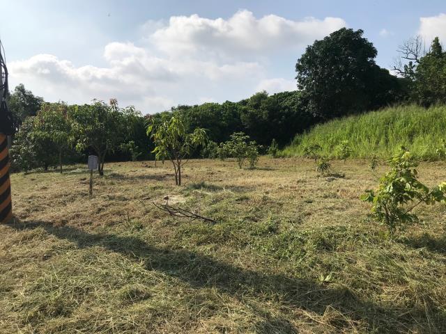 高雄大樹建地-6