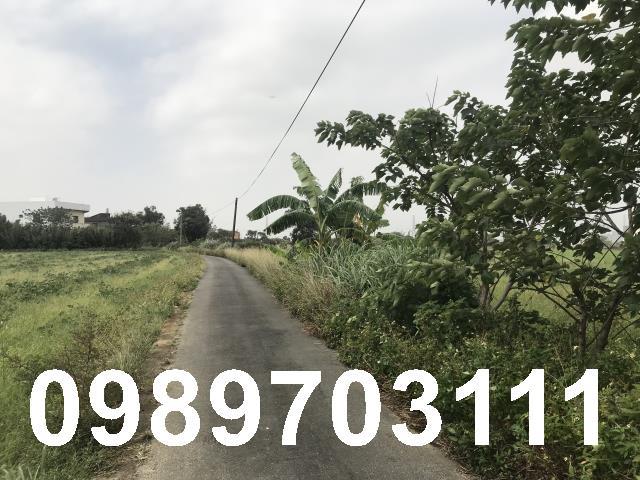 桃園觀音農地-0