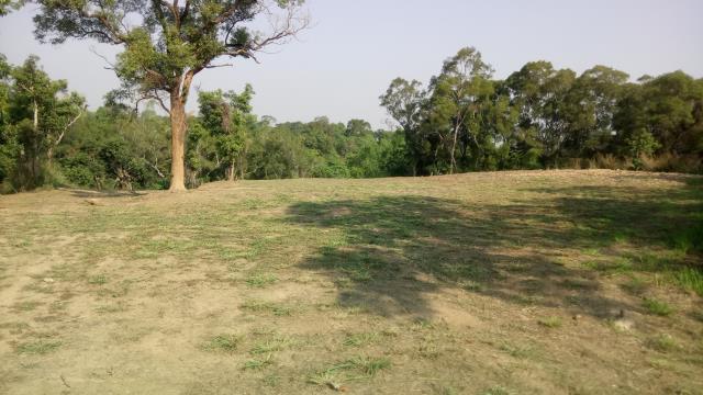 彰化芳苑畜牧畜禽養雞蛋雞肉雞太陽能農地土地投資開發出售