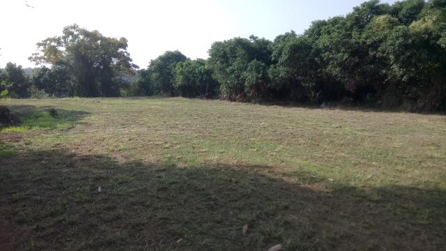 彰化彰化市農地-3