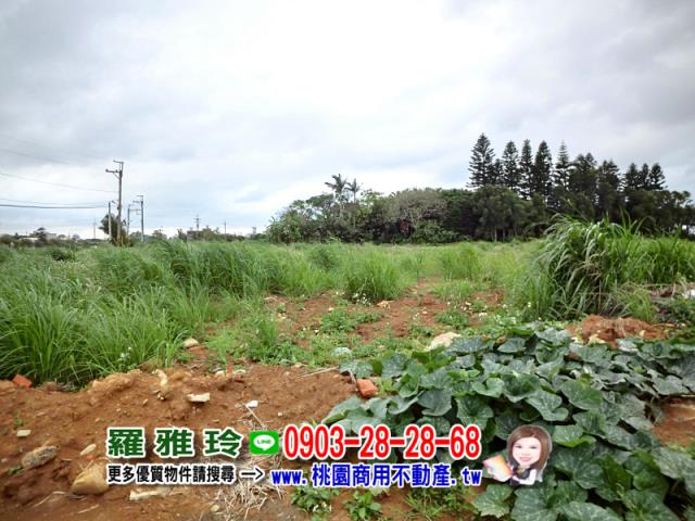 觀音建地-11