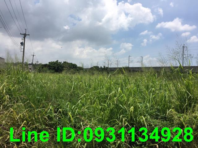 台中外埔農地-0