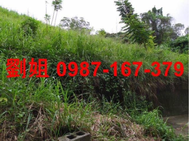 高雄鳥松農地-1