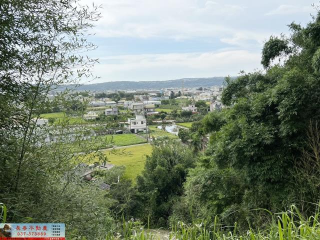 公館農地-11