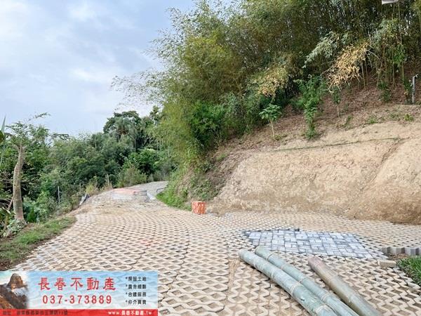公館農地-5