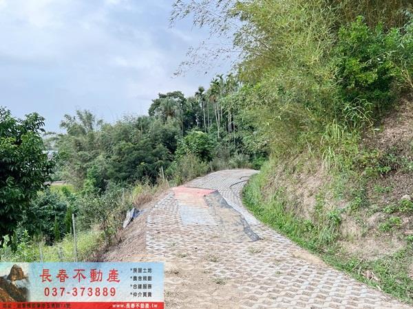 公館農地-6