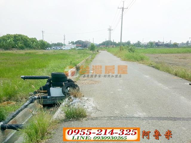 水林農地-3
