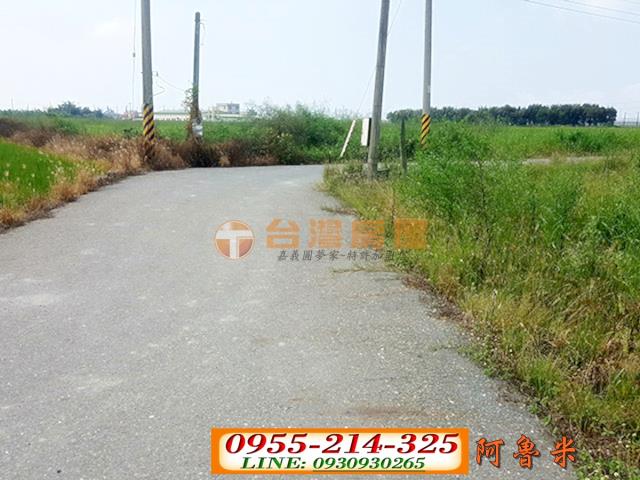 水林農地-4