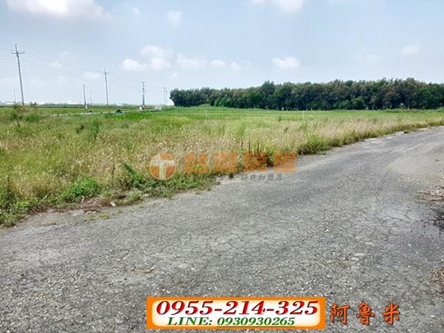 水林農地-5