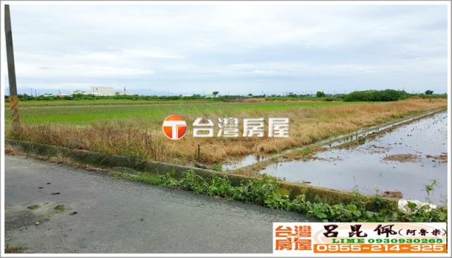 水林農地-3