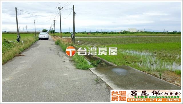 水林農地-4