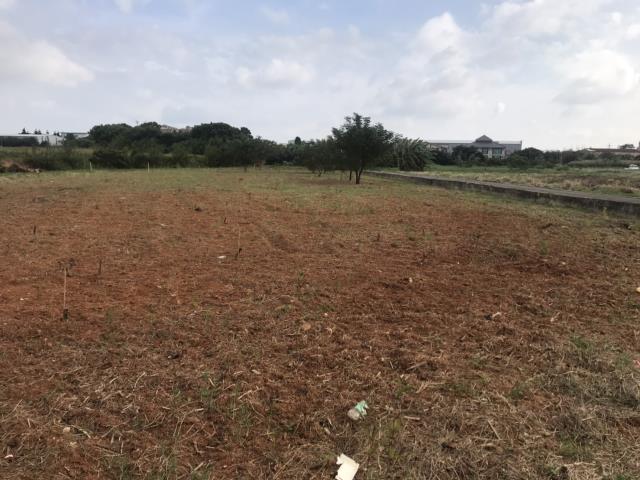 桃園觀音農地-0