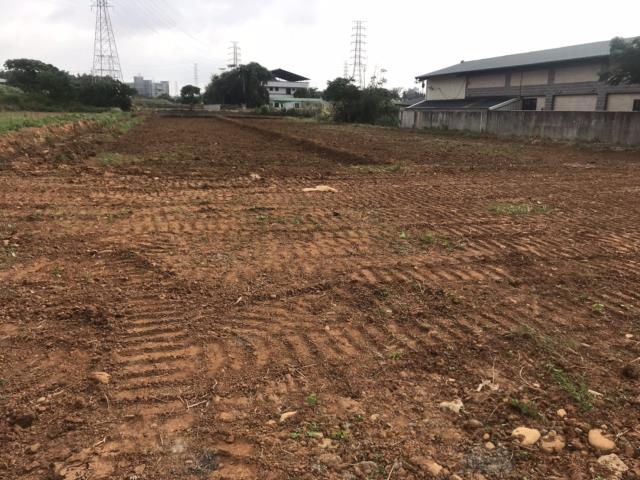 桃園觀音農地-2