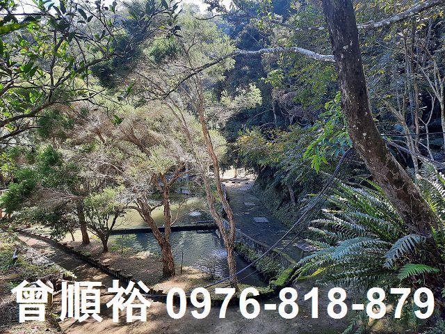 竹東農地-9