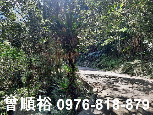 竹東農地-12