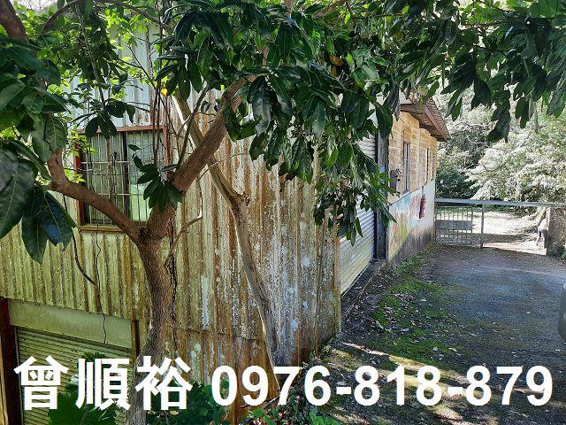 竹東農地-14