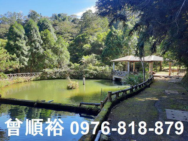 竹東農地-0