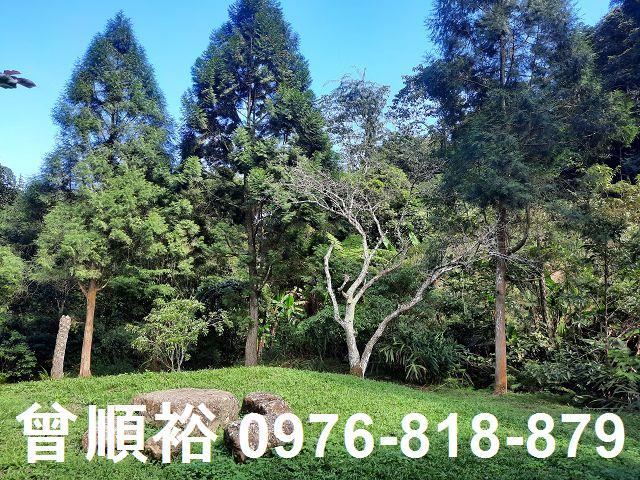 竹東農地-1