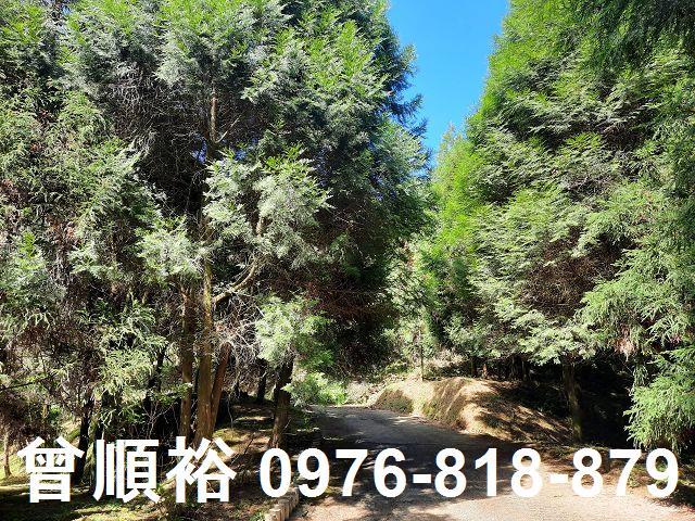 竹東農地-2