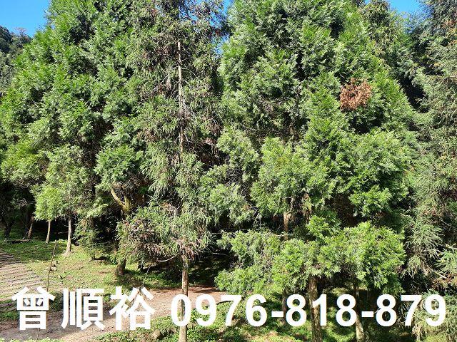 竹東農地-5