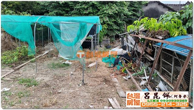 民雄農地-4