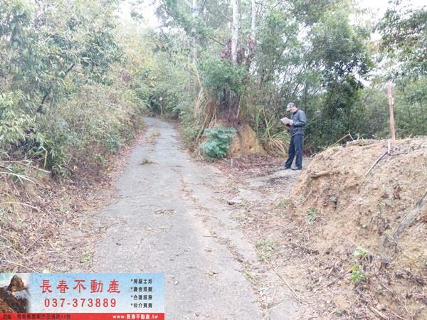 銅鑼農地-1