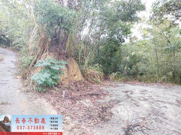 銅鑼農地-2