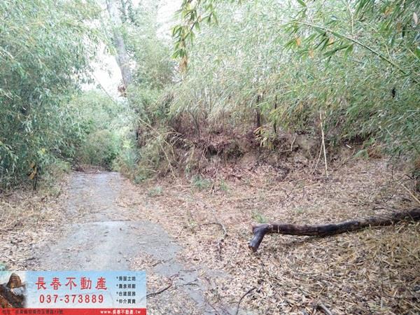 銅鑼農地-5