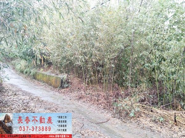 銅鑼農地-6