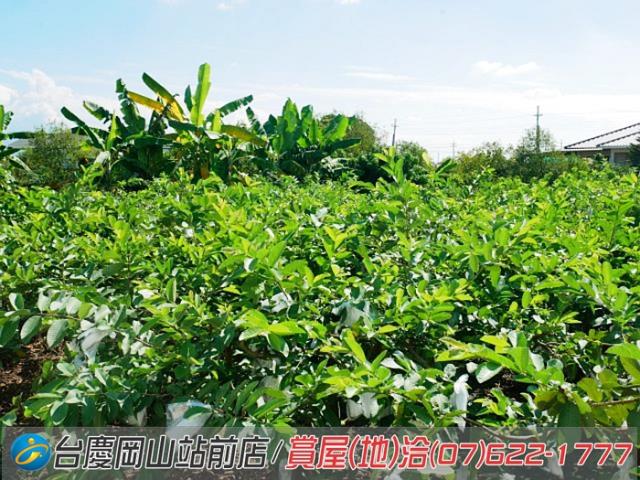 高雄美濃農地-1