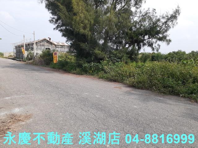 大城農地-9