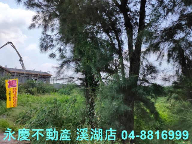 大城農地-1